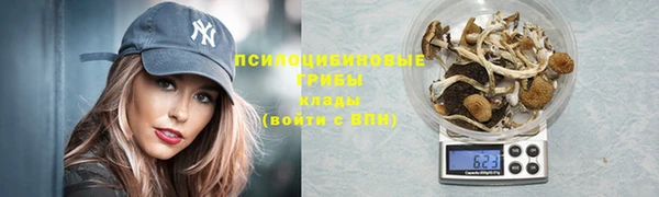 герыч Магас