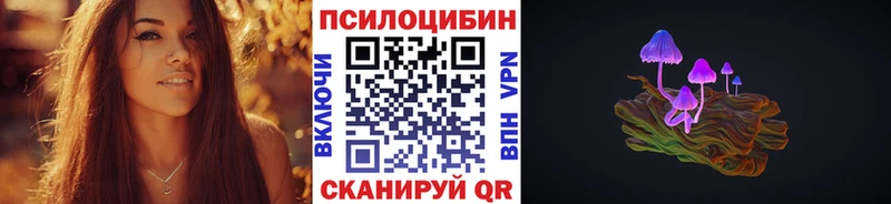 где купить наркотик  shop телеграм  Псилоцибиновые грибы Psilocybine cubensis  Сольцы 